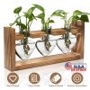 Plant Terrarium Propagation Station with 3 Heart Shaped Vases Wooden Stand Desktop Air Planter Bulb Glass Vase for Hydroponics Home Office Decor Gift