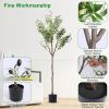 5.9FT Artificial Olive Tree Tall Fake Olive Plant Faux Potted Olive Tree with Lush Olive Branches and Fruits with Black Planter Pot for Modern Home Of