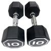 APOLLO IR3920 Premium Octagonal Dumbbells, Large Numbers, Hard Chrome Plated Handle Dumbbells to Assist with Push-Ups, 10 lbs set of 2