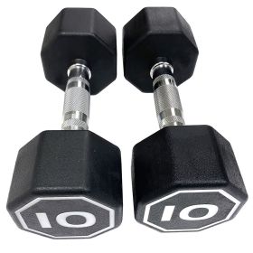 APOLLO IR3920 Premium Octagonal Dumbbells, Large Numbers, Hard Chrome Plated Handle Dumbbells to Assist with Push-Ups, 10 lbs set of 2