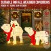 Set of 3 Lighted Polar Bear Family Christmas Decorations