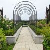 Metal Garden Arch L42.24'' x W17.52'' x H85.82'' Climbing Plants Support Rose Arch Outdoor Black