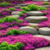 "Premium Creeping Lavender Seeds - 3000+ Count - Heirloom Variety for Planting"