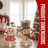 Set of 2 Lighted Gingerbread Man and Candy Cane Christmas Decorations